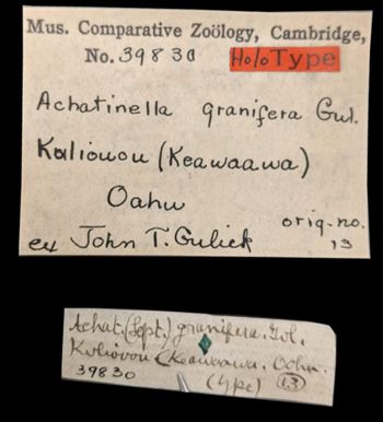 Media type: image;   Malacology 39830 Aspect: labels